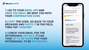 BSFX 4.1 - WITHDRAWALS