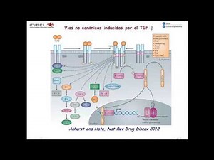 Factores de crecimiento y TGF beta en cáncer. Curso ONCOLOGIA MOLECULAR. Dra. Isabel Fabregat