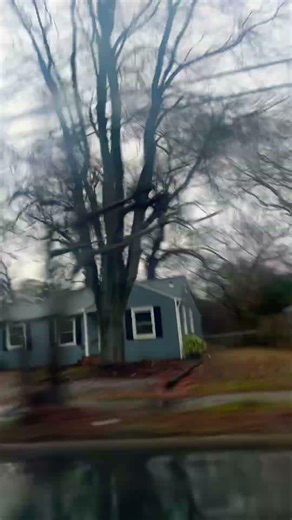 𝙸𝚝'𝚜 𝚝𝚛𝚞𝚎 𝚛𝚒𝚐𝚑𝚝