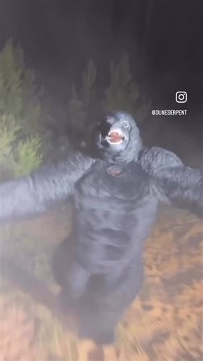 Anderdingus on Instagram: "Have you guys seen Scouts Guide to the Zombie Apocalypse? This song always reminds me of that movie Song: 9 to 5 by Dolly Parton • • • • • • • • #reels #memes #funny #brainrot #viral #viralreels #shitpost #funnymemes #trending #fyp #foryou #brainrotmemes #goofyahh #shitposts #viralvideos #dollyparton #9to5 #dancing"