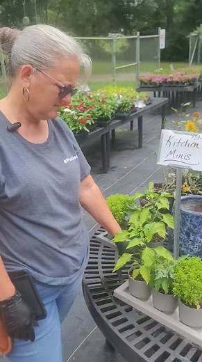 Natural Springs Pretty Things | Natural Springs Garden Center & Nursery