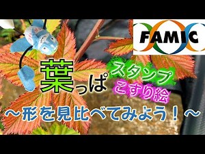 葉っぱスタンプ・葉っぱこすり絵～形を見比べてみよう！～【Fun！Fun！FAMIC ～農薬とカガク～ 第４回】
