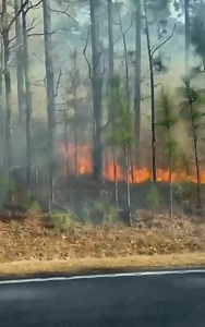 932K views · 5.1K reactions | LowCountry in South Carolina) TRAVEL ALERT/Berkeley: Watch out for fire crews as they work to extinguish a woods fire on Halfway Creek Road near Conifer Road. : Provided My source tells me these departments are all assisting with the fires: Hanahan, Whitesville, Pimlico, Pine Ridge, Charleston, Moncks Corner Rural, Cainhoy, SC Forestry, North Berkeley, BC EOC, CC Rescue | Trooper Bob - ABC News 4 Traffic Tracker | Facebook