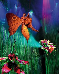 Schon gewusst, dass du bereits vor der Premiere Disneys TARZAN sehen kannst? Wir haben gleich 6 Previews für dich. 🌿 🎉 Die ermöglichen es Dir, das spektakulärste Musical unserer Zeit noch vor der Premiere zu erleben. Klingt gut für dich? Dann folge dem Link: http://ms.spr.ly/61819qsTc #tarzan #tarzanmusical #tarzandasmusical #stuttgart #preview | Tarzan - Disneys Musical