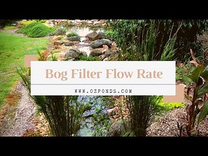 Bog filter flow rate