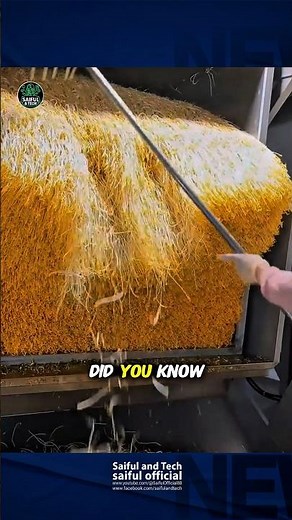 Why Does This Vegetable Have No Roots? 😱