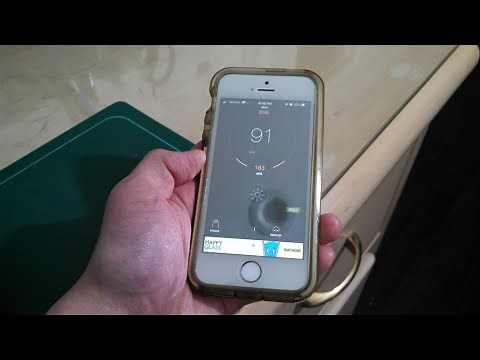 Do light meter apps really work?