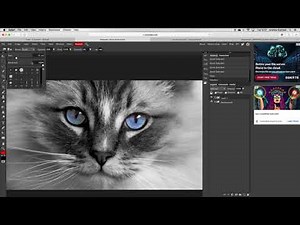 Isolated Colour edit in Photopea