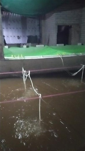 Biofloc #Fish farming#Tank fish culture