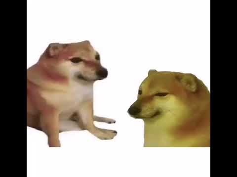 doge doggo owie bonk