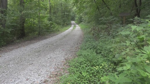Massive snake migration shuts down miles of Illinois road