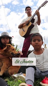 8M views · 57K reactions | Que Perro - El Joselito y Ernesto Gaviria Nunca Abandones a Tu Perro , que el nunca Lo hará contigo ya que es lo único que el tiene ❤️ | El Joselito | Facebook