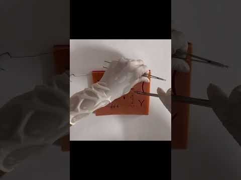 Learn Suturing Like a Pro | Hands-On Training with a Doctor | Part-1 #suturing #medical #suture