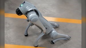 Dr. Woof: Red Deer Polytechnic unveils robot dog