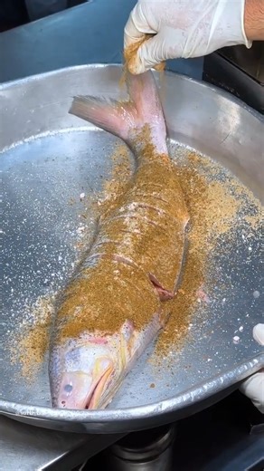 11K views · 124 reactions |  Viral Surmai Fish of Surat – Dekh Ke Muh Mein Pani Aa Jayega! | Surtilalo | Foodie | Facebook