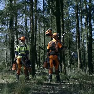 5K views · 121 reactions | Sharp and strong. Efficient and powerful....