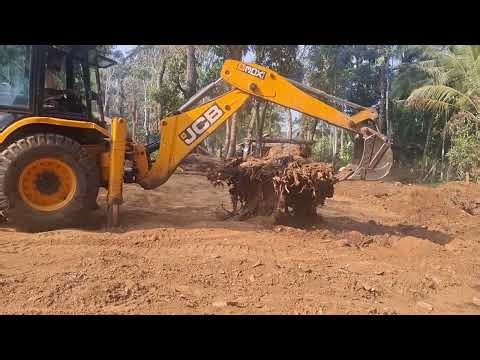 JCB WORK - BASE OF THE TREE REMOVE - SOIL SHIFTING 