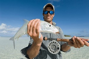 Live Luxuriously During A Finger Lakes Wine Tour