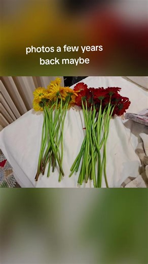 photos a few years back ♡♡ recognize the backing vocalist?