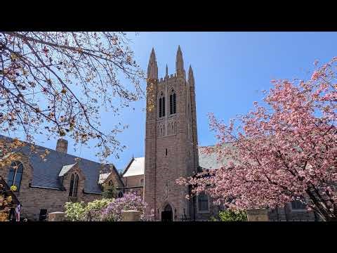 Live Worship from Grace and St. Stephen's Episcopal Church 1/18/26