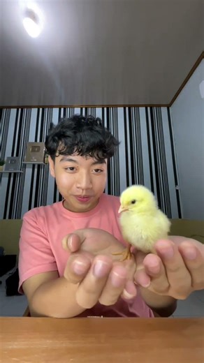 Beli barang randome apalagi ya😭