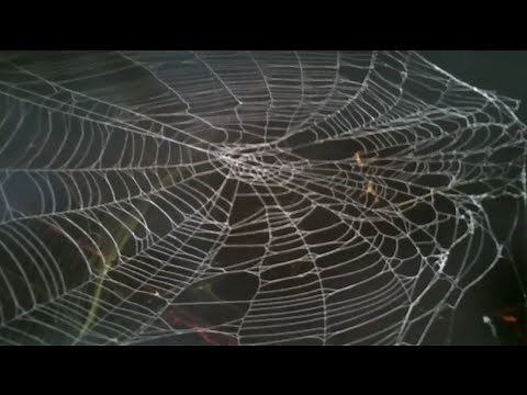 how to spray paint spider webs spray paint art secrets
