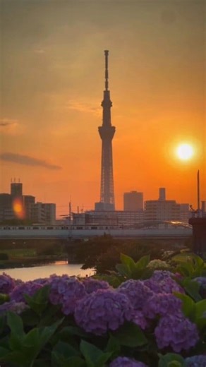 東京的夏日傍晚 🌅 更多日本街景，歡迎關注/訂閱 帶你看日本 Let's Go Japan #日本夏季 #日本街景 #日本景點推薦 | 帶你看日本 Let's Go Japan