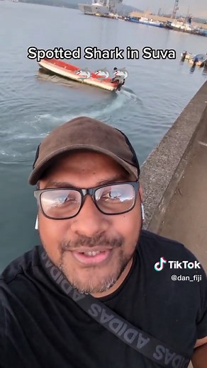 Shark Sighting in Suva, Fiji: A Must-See Encounter