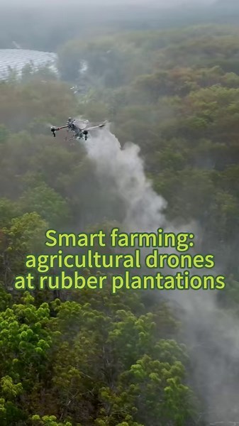 20K views · 67 reactions | Smart farming: agricultural drones work at rubber plantations in southwest China's Yunnan Province, combating diseases like powdery mildew, reducing labor costs, and enhancing productivity. #SmartFarming #Agritech #drone #rubber #China | China Xinhua Sci-Tech | Facebook