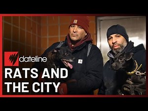 On A Night Hunt With New York's Rat Vigilantes | Full Episode | SBS Dateline