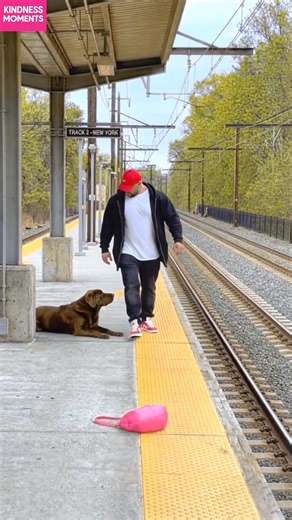 Dog's Kindness Shines at Train Station A dog retrieves a lost bag for a grateful owner. Pure kindness! #fblifestyle #AI Generated using Kling AI . . . (For entertainment purposes only. Consult professionals if guidance on activities is presented. No brand affiliation is implied if any are shown. If inspired by true events, creative adaptations may be included. Content may include public footage.) | Fabiosa Daily