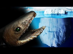 O Iceberg dos Mistérios do Oceano