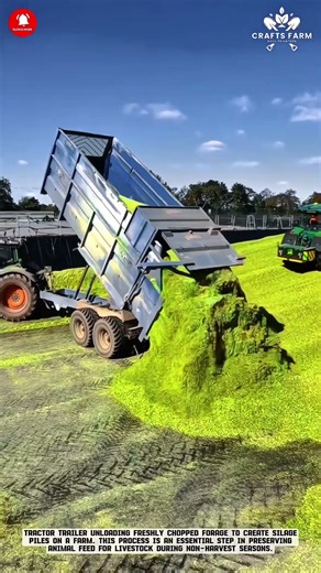 Forage Silage Loading Process #smartfarming #gardeningtips