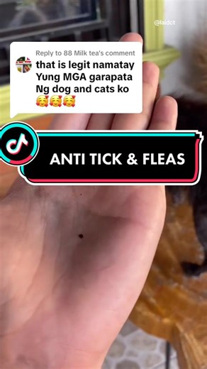 Avermectin Pour-On Solution for Anti Tick & Fleas | Cassiel Pet