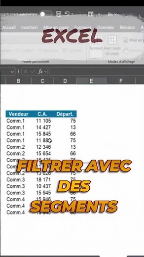 Ultra-Fast Excel Filtering with Segments!