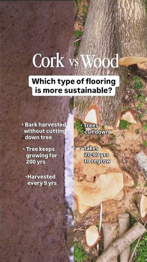 Why CORK beats WOOD #sustainabledesign #shorts