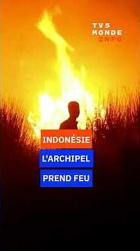 Indonésie : l'archipel prend feu