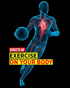 7.9K views · 501 reactions | Exercise not only benefits you physically but it also has immense benefits for your mental health. Here's what actually happens in your body when you exercise. | Doctor ASKY | Facebook