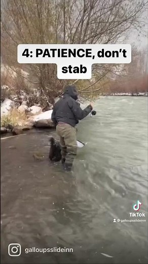 How to Net a Fish