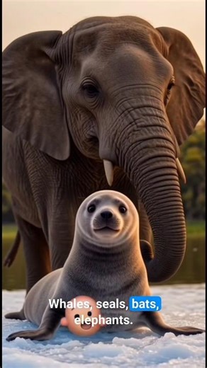 What if animals could talk? Science says... some already do. 👀