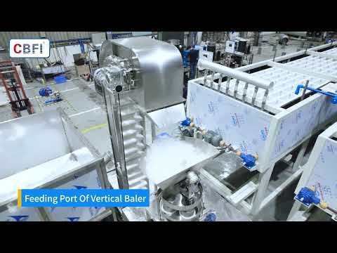 Automatic Vertical Ice Packing Machine