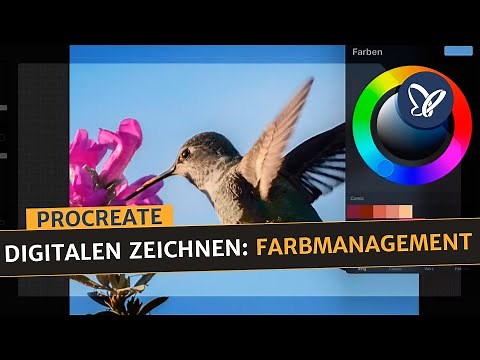 Procreate-Tutorial: Farbmanagement