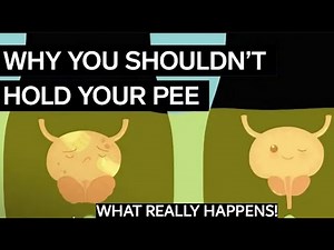 What Happens When You Hold Your Urine? | Can Holding Pee Kill You?