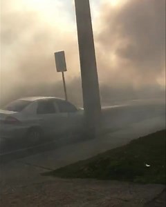 3.5K views · 45 reactions | #CRIMEAMBIENTAL Na tarde desta...