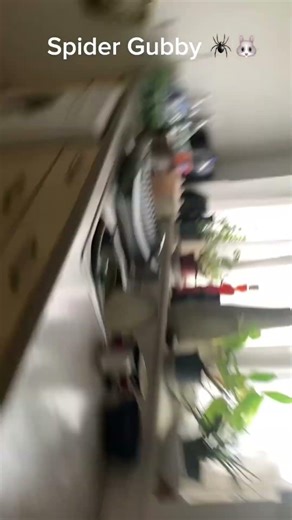 Spider Gubby 🕷️ 🐰 #roblox #gubby #spider #forsaken