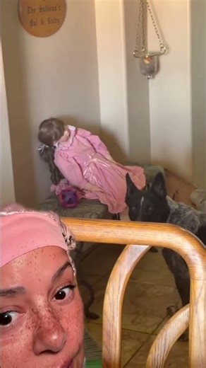 She Brought Home a Thrift Store Doll… and Her Dog Started Treating It Like a PERSON 😳👀