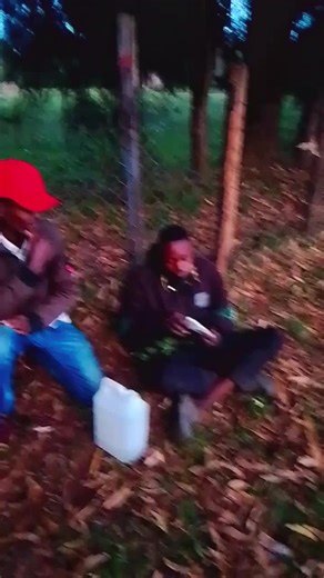 Enock Nock (@enock.nock8)’s videos with original sound - Millihoppa