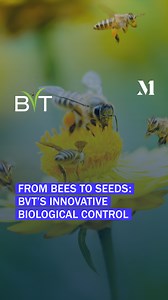 ➡️ Disseminated by Market One for Commercial Purposes __ 🐝 Bee Vectoring Technology (CSE: BEE | OTCQB: BEVVF) uses bees to deliver biological control agents to the flowers of crops in a very targeted way! 🎥 Want to know how replacing chemical sprays with targeted biological applications leads to healthier crops? Tune in to hear more. | Market One