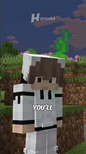 this mod added stink in minecraft