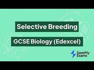 Selective Breeding: GCSE Biology (Edexcel)